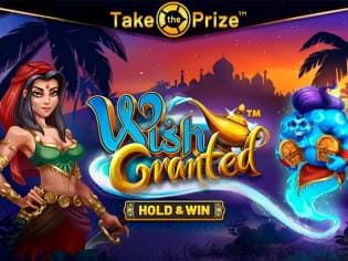 Wish Granted thumbnail